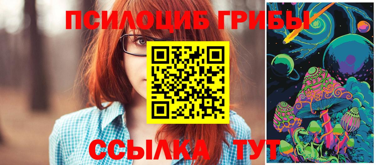 Псилоцибиновые грибы Psilocybe Ухта